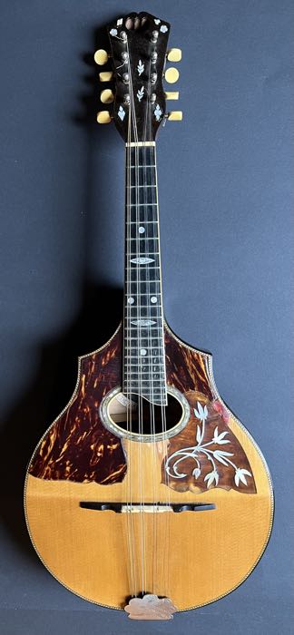 1919 Vega Model 205 Cylinder-Back Mandolin