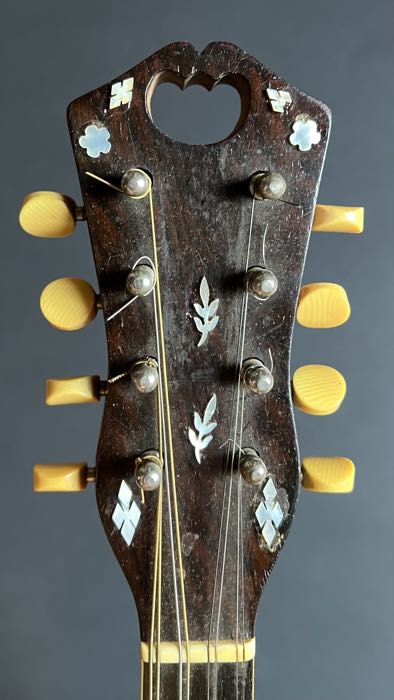 1919 Vega Model 205 Cylinder-Back Mandolin