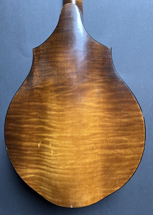 1919 Vega Model 205 Cylinder-Back Mandolin