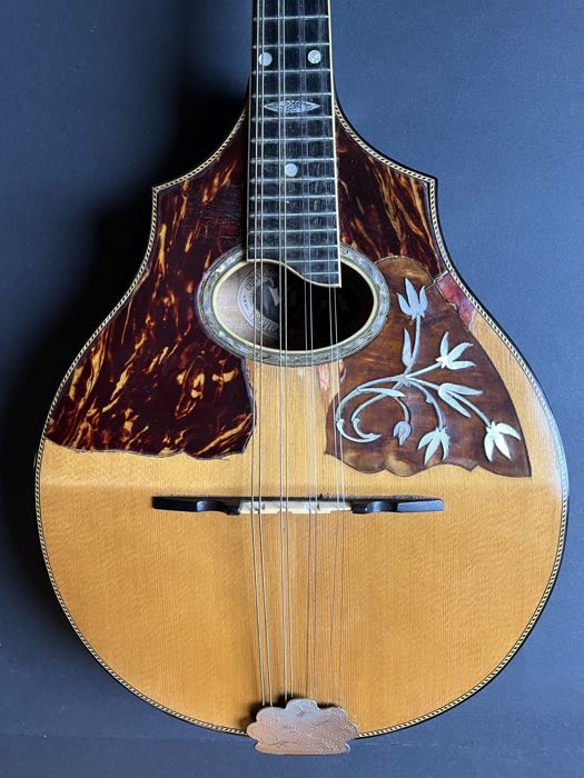 1919 Vega Model 205 Cylinder-Back Mandolin