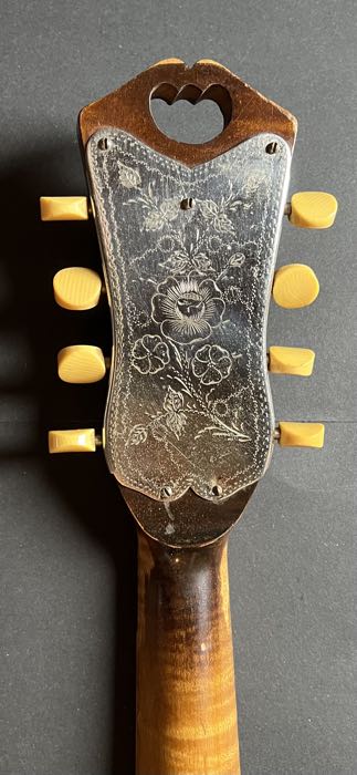 1919 Vega Model 205 Cylinder-Back Mandolin